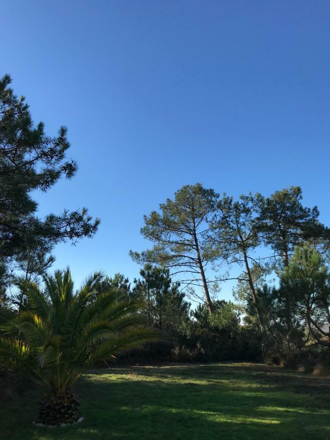 Maison Architecte Bois Du Kador A Morgat كروزون المظهر الخارجي الصورة
